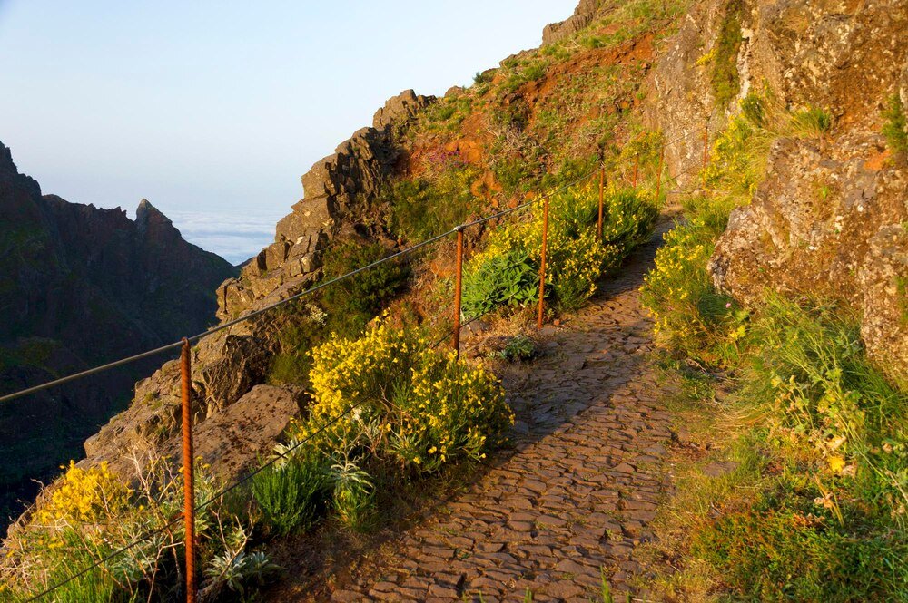 Madera: Najpiękniejsze lewady i szlaki trekkingowe